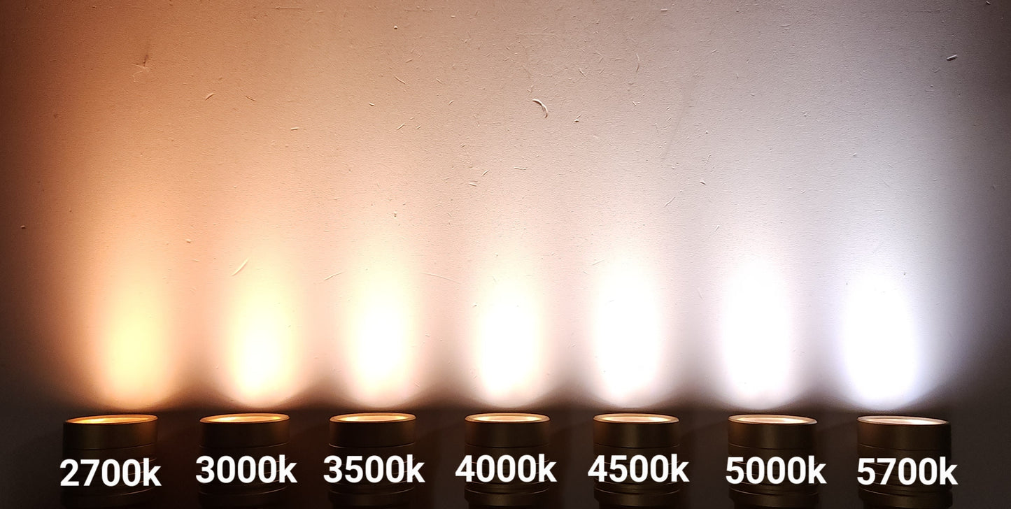 ReyLight Dawn/Rook Triple Pill W/RGB Auxiliaries