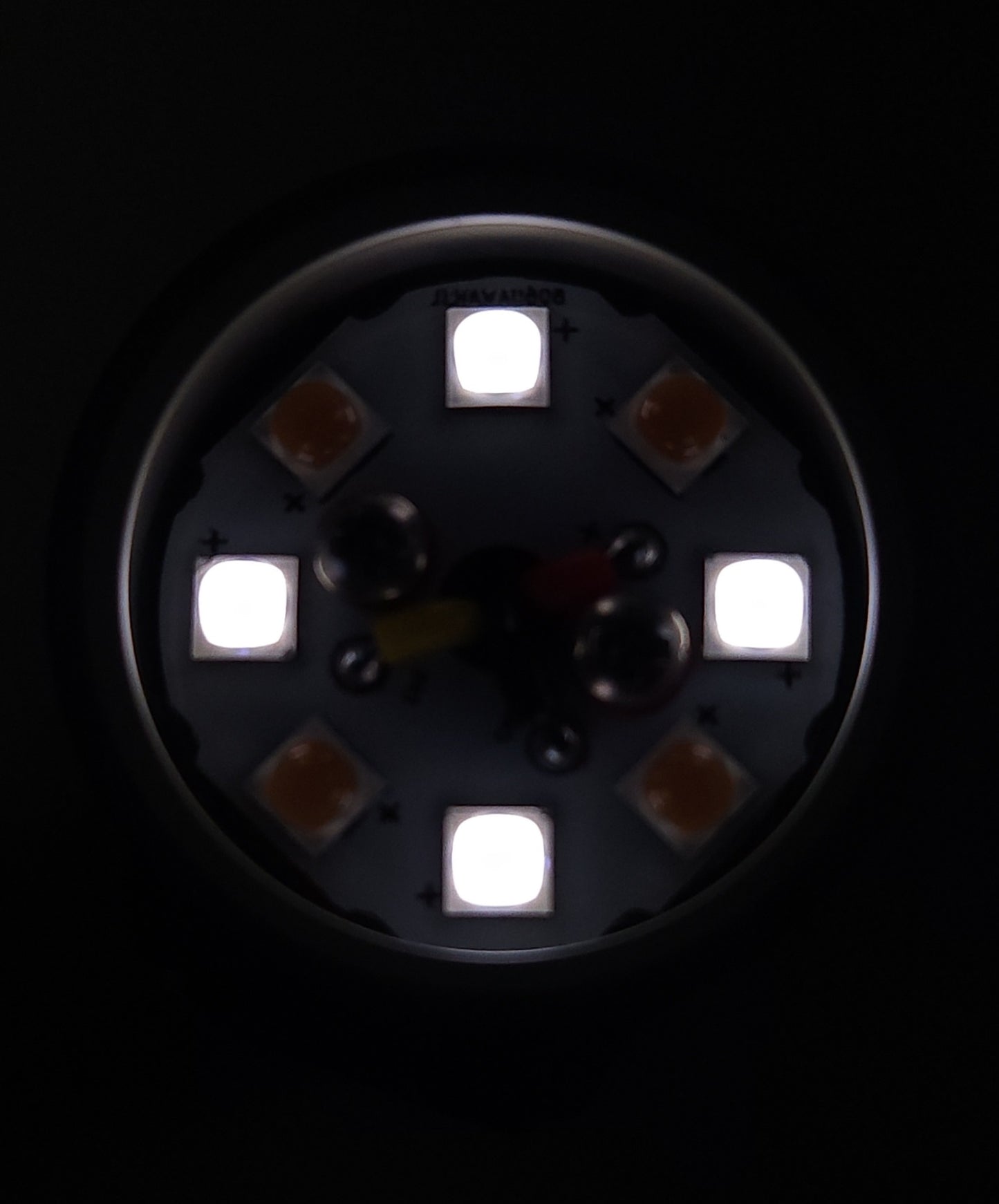 Emisar DW4 *MULE* 2CH 2-CH *CUSTOM BUILT-TO-ORDER*