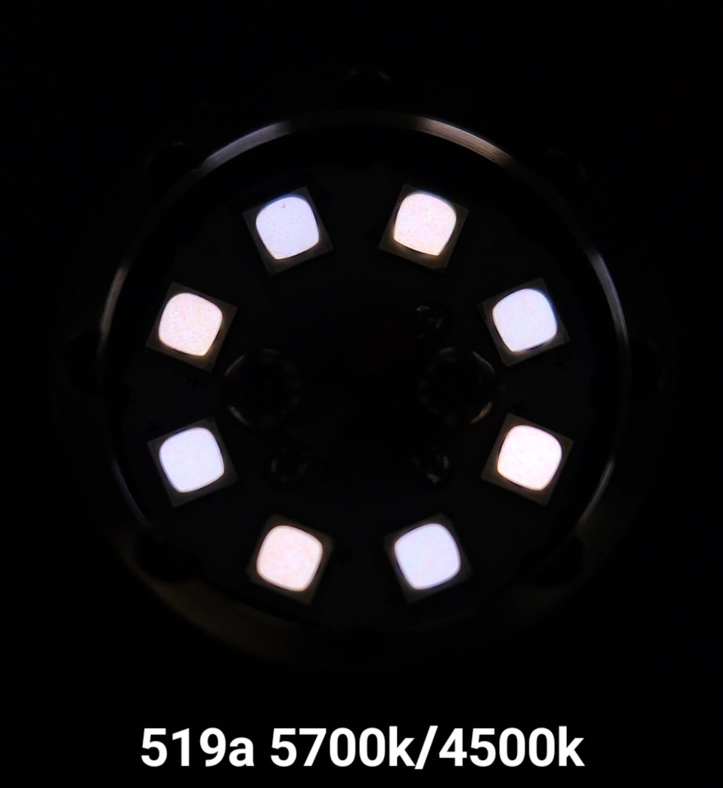 Emisar DW4 *MULE* 2CH 2-CH *CUSTOM BUILT-TO-ORDER*