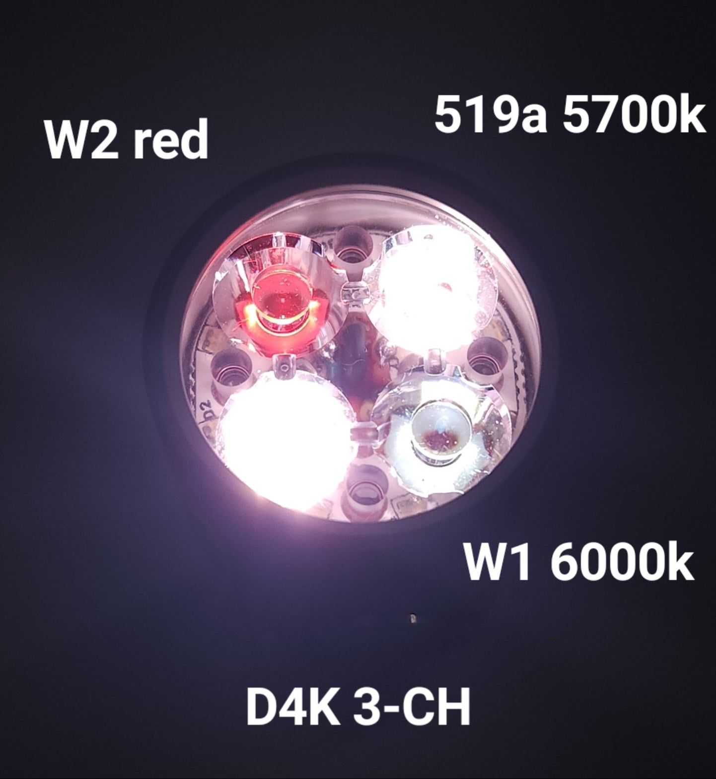 Emisar D4K 3-CH 3CH Triple Channel 1*21700 LED Flashlight *CUSTOM BUILT-TO-ORDER*