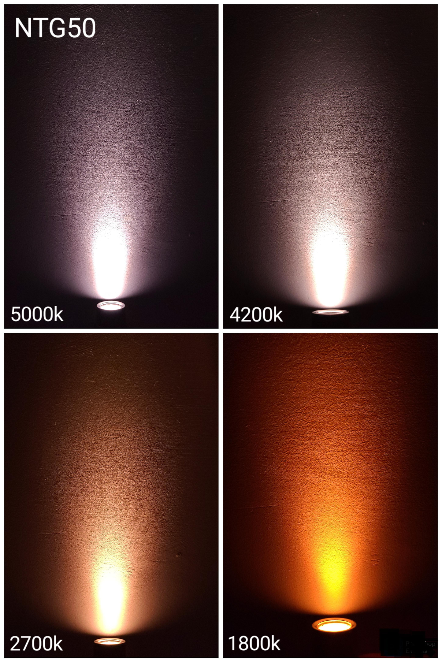 Noctigon NTG 3/6/12V LED Emitter