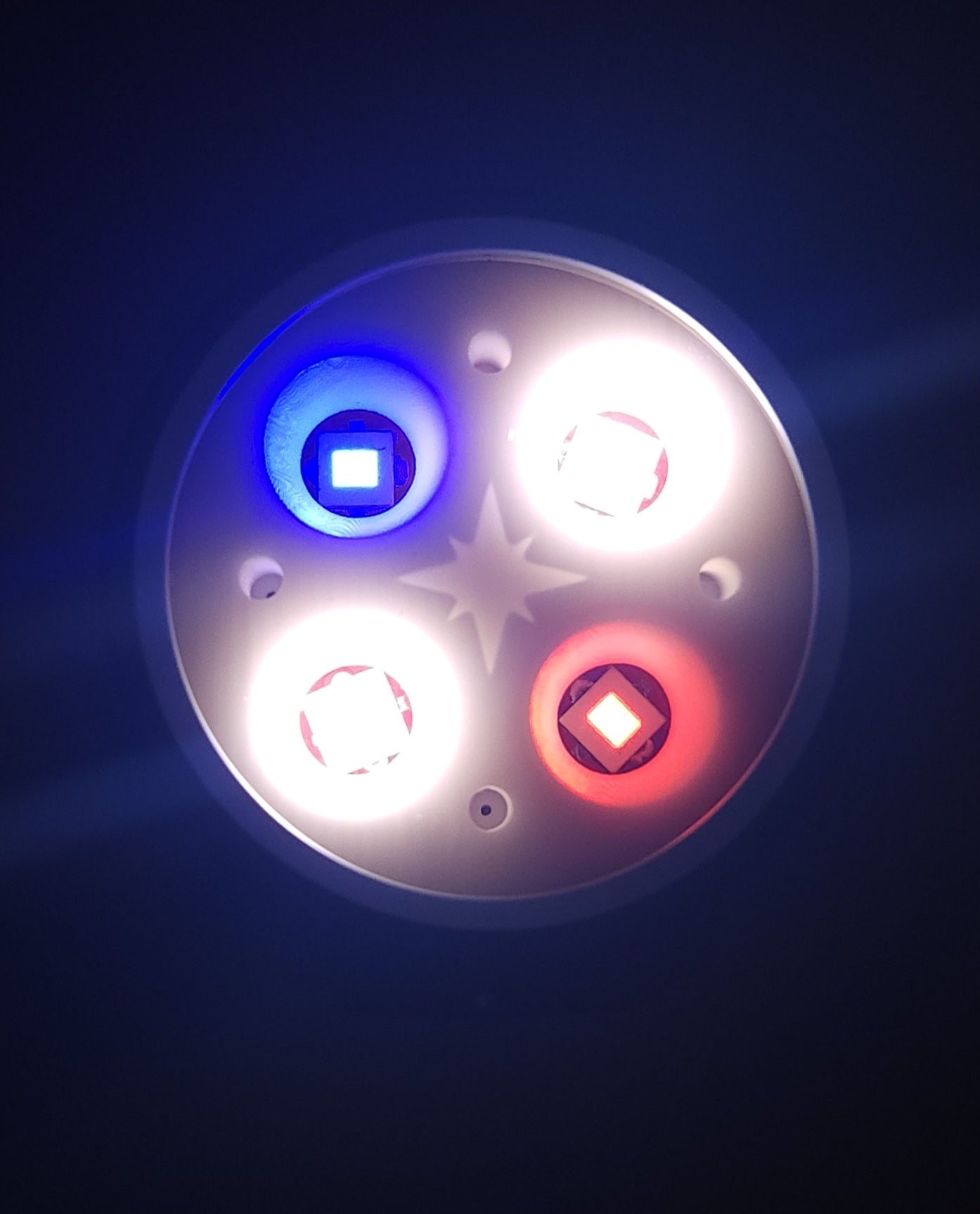 Hybrid Mule Optic Quad/Triple