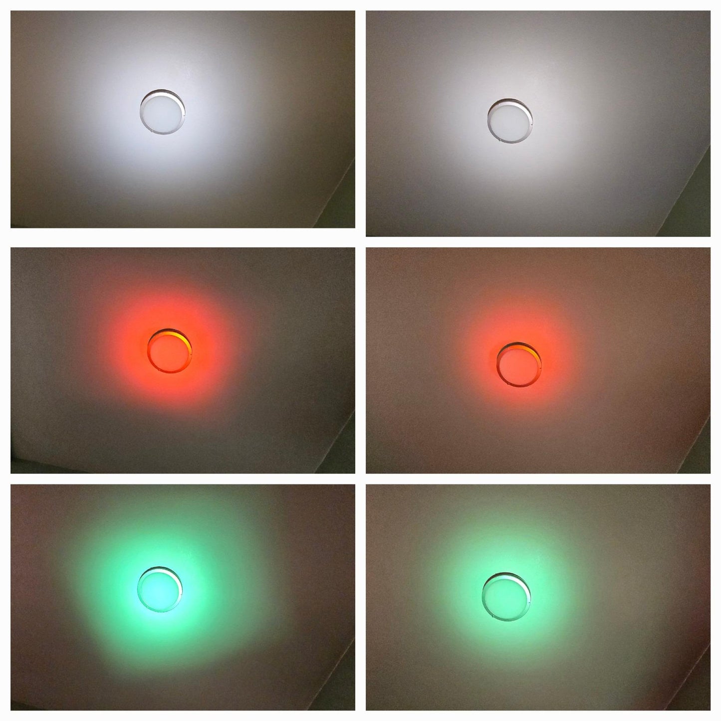 QUAD OPTICS CUSTOM W/REFLECTORS