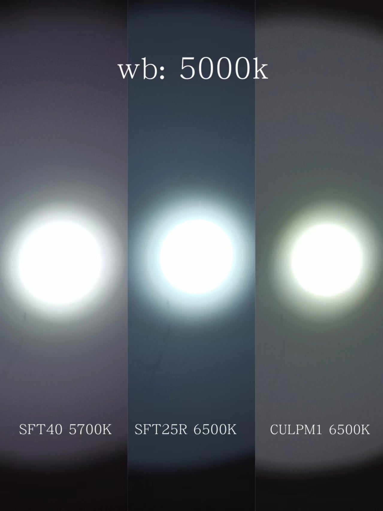 LUMINUS RAW LEDS