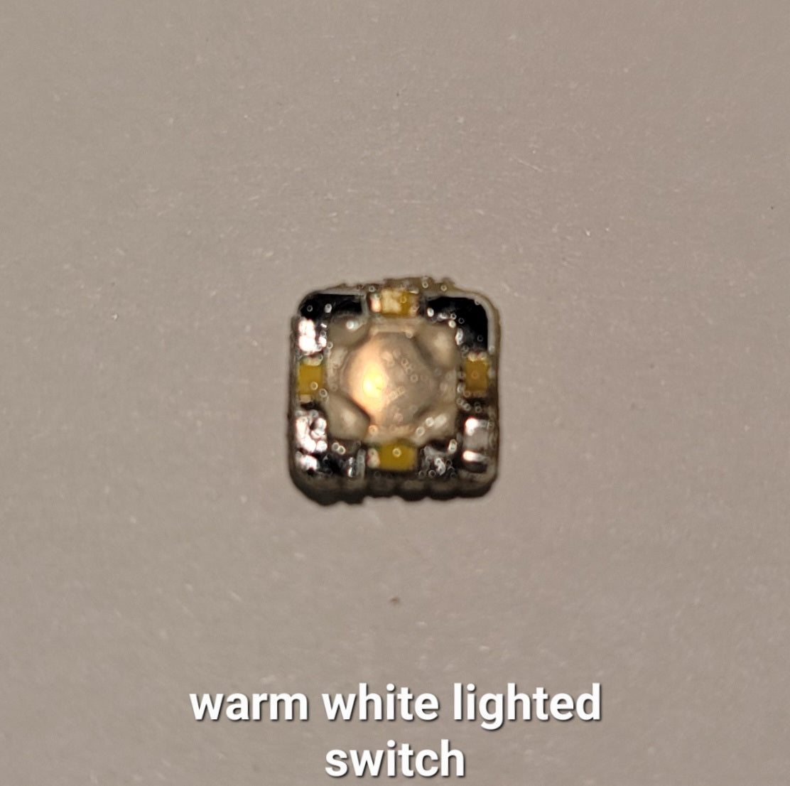 Emisar Noctigon Replacement E-Switch E Switch D4V2 D1 D1K D4K WARM WHITE