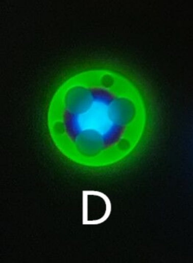 Lumintop MULTI COLORED TRI-GLOW Turbo Glow Gaskets For FW3A EDC18 FW21 LM10 HL3A D