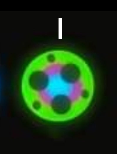 Lumintop MULTI COLORED TRI-GLOW Turbo Glow Gaskets For FW3A EDC18 FW21 LM10 HL3A I