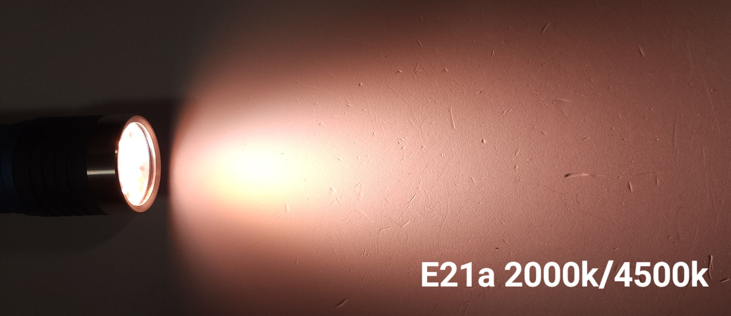 Emisar D4v2 E21A Tint Ramp Channel Switching LED Flashlight