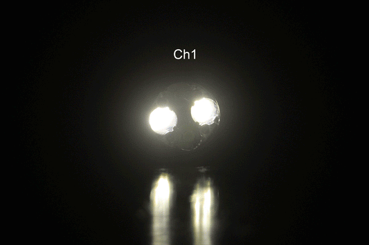Emisar D4K 3-CH 3CH Triple Channel 1*21700 LED Flashlight *CUSTOM BUILT-TO-ORDER*