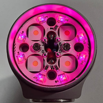 EMISAR D4V2 TITANIUM QUAD SFT40 *CUSTOM*