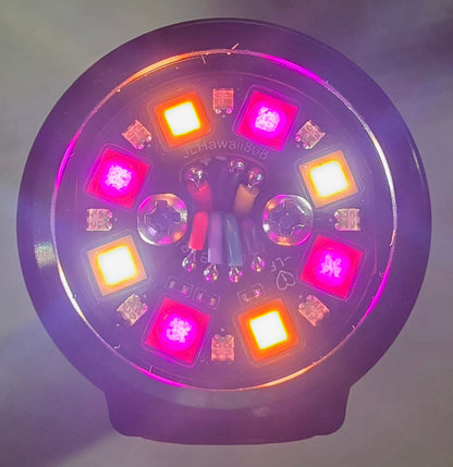 Emisar D4V2 2CH 2-CH Mule High Power LED Flashlight *CUSTOM BUILT-TO-ORDER*