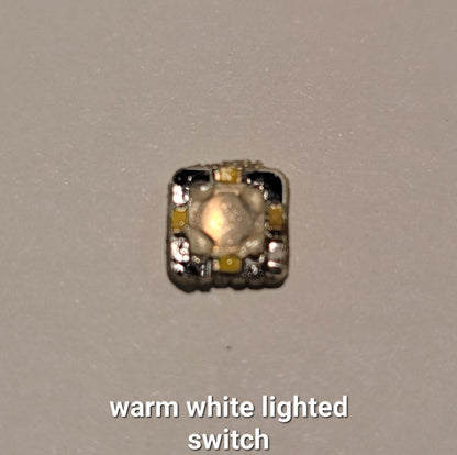 Emisar Noctigon Replacement E-Switch Switch D4V2/D1/D1K/D4K WARM WHITE