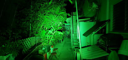 Emisar D4v2 Titanium Osram W2 Green High Power LED Flashlight